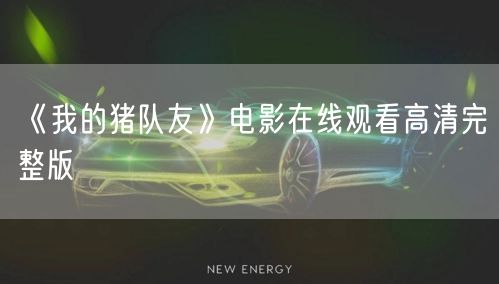 《我的猪队友》电影在线观看高清完整版